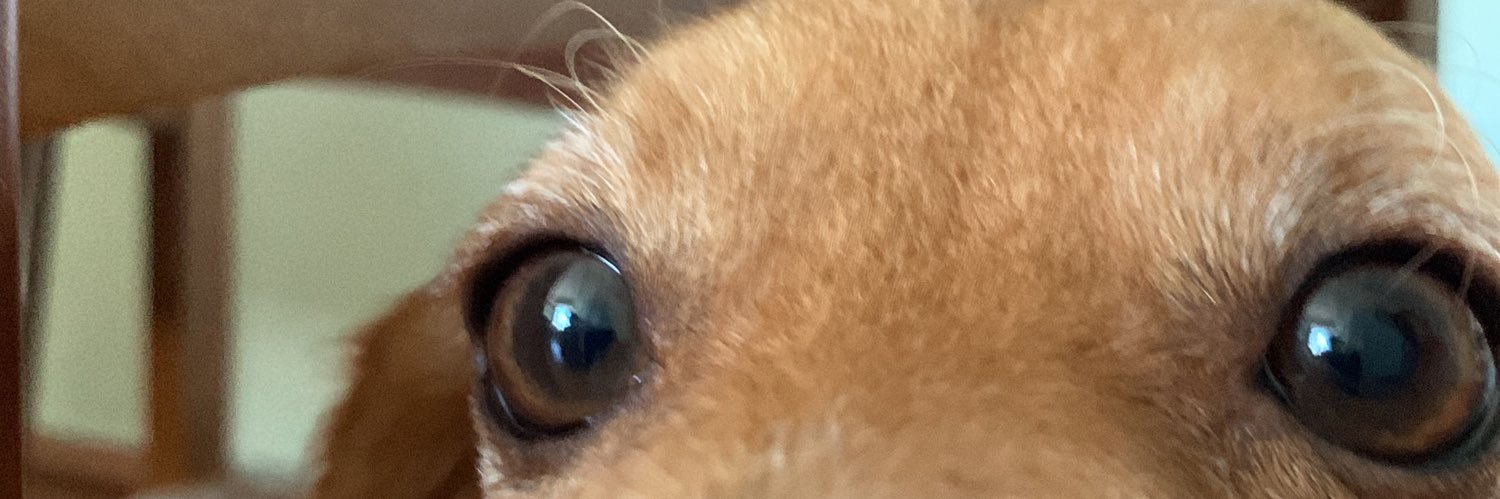 pedrofred_'s profile banner image