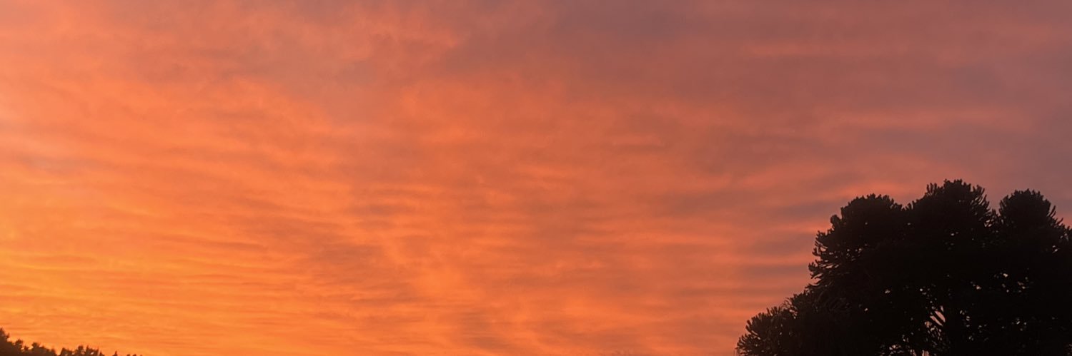 _ddaudt's profile banner image