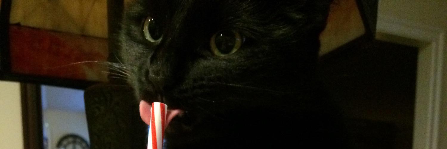 ocmdsmom's profile banner image
