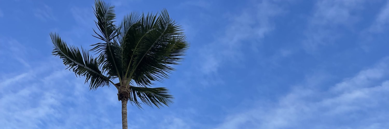Dalyp145's profile banner image