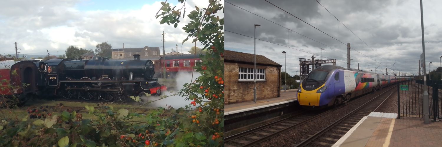 Ditton Dodger banner