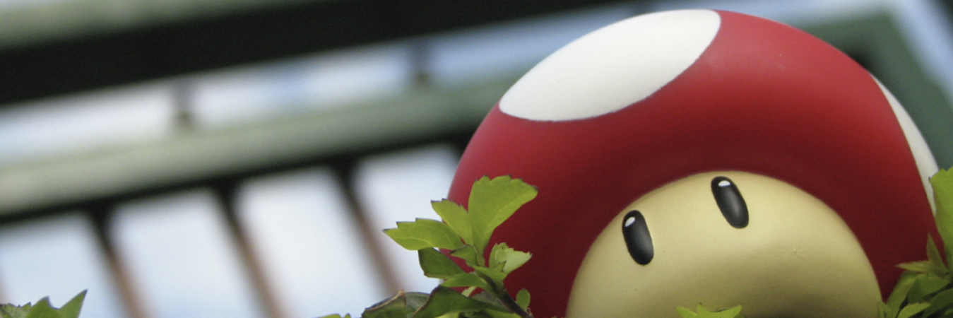 R banner