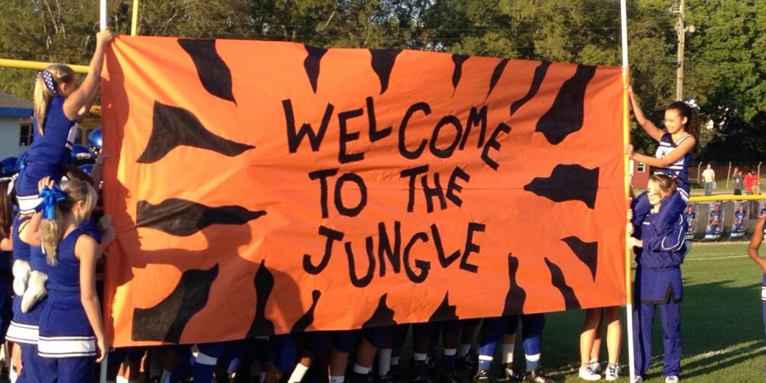 lms_tigers's profile banner image