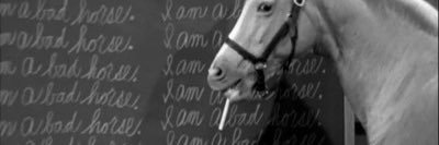 a belly irked banner