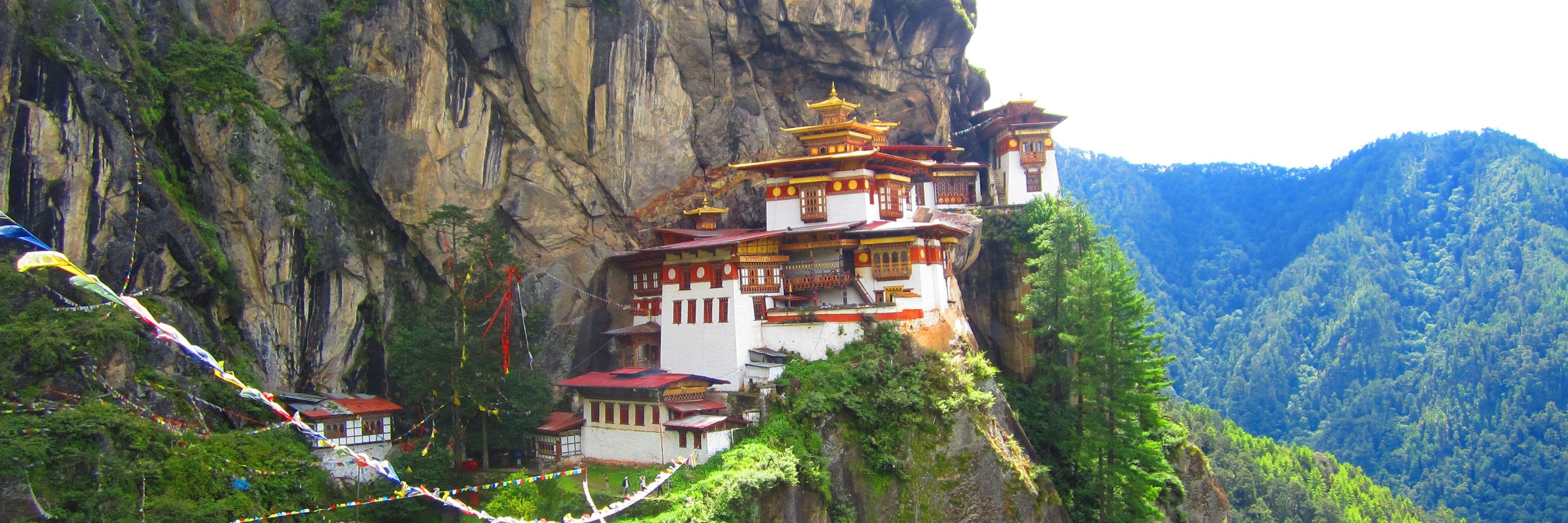 🖤 ishafire 🖤 banner