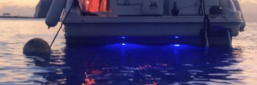 Cryptopunches's profile banner image