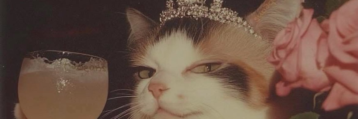 Tiiits_'s profile banner image