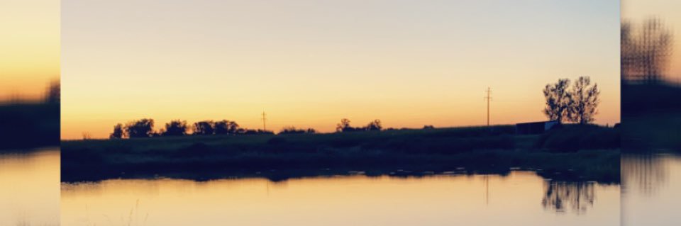BridgetteAugsp1's profile banner image