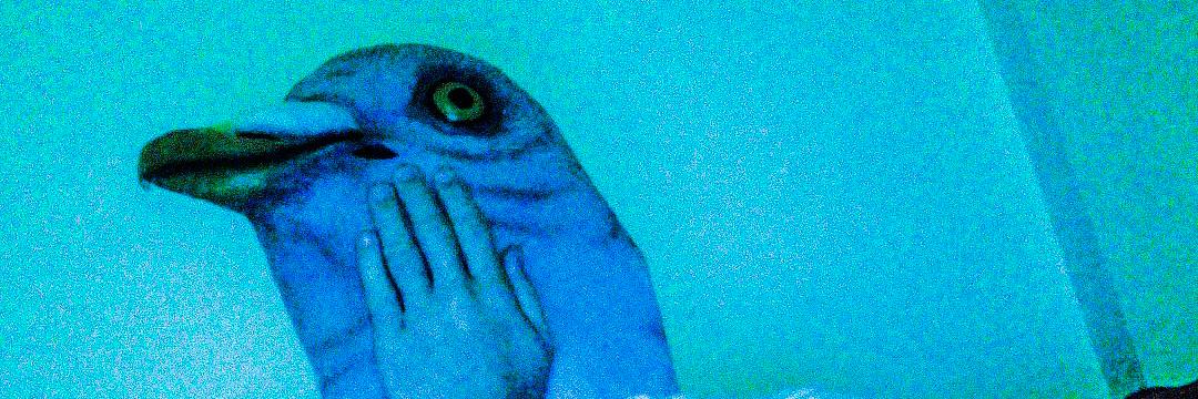 griffingriffinn's profile banner image