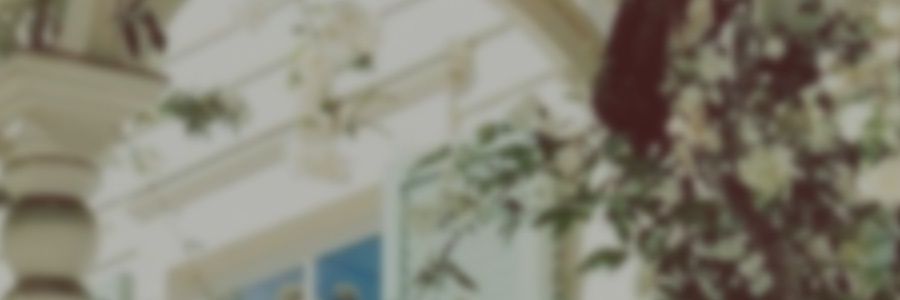 tinypotra's profile banner image