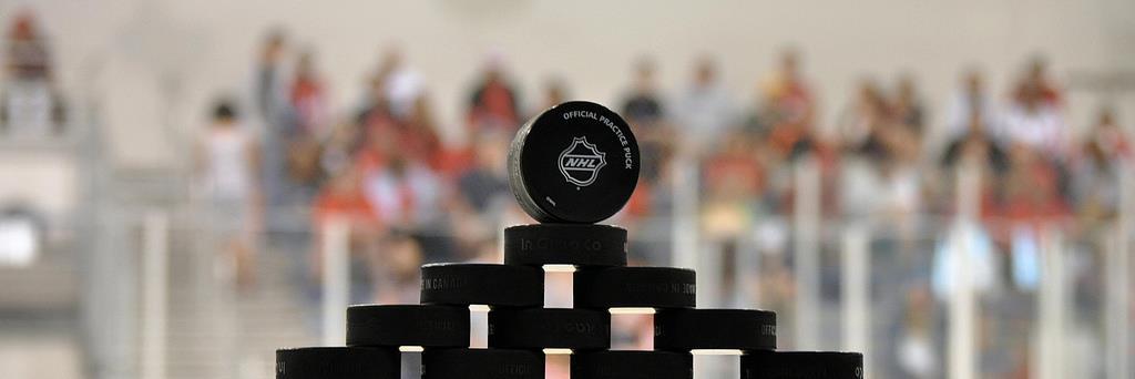 Pucks banner
