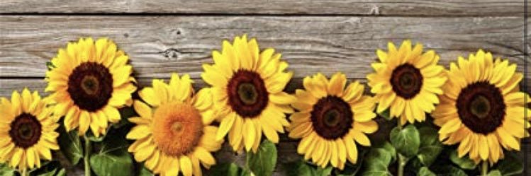 hannahronee's profile banner image