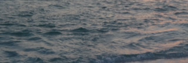 ellurrrr's profile banner image