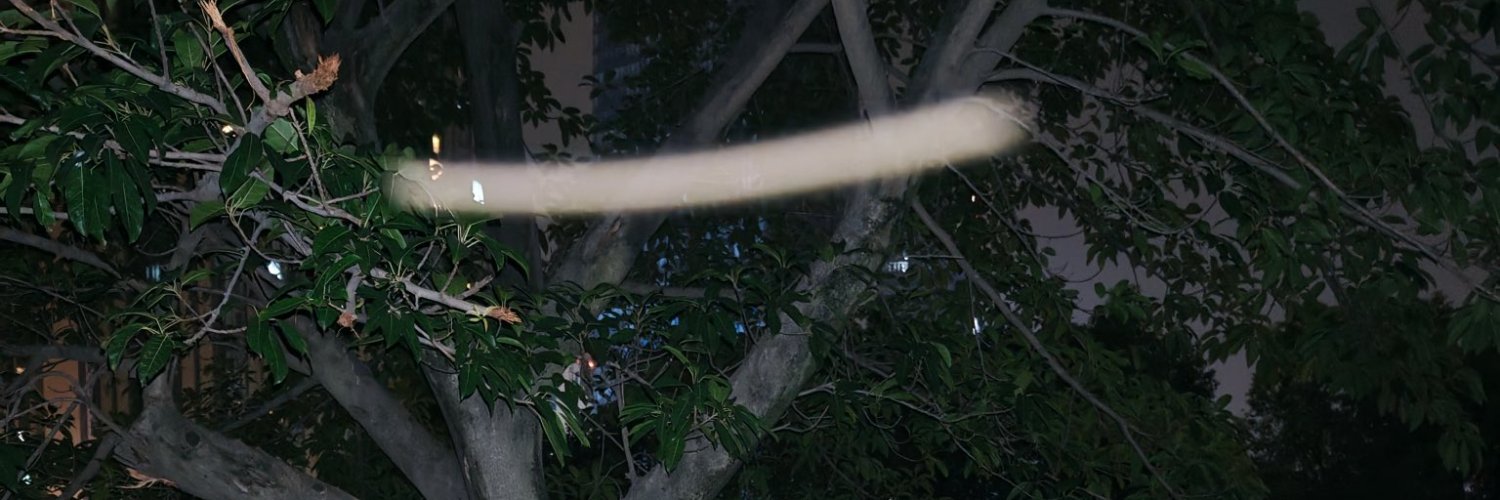 Asenhyrox's profile banner image