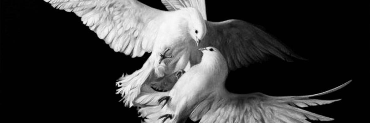mxcis's profile banner image