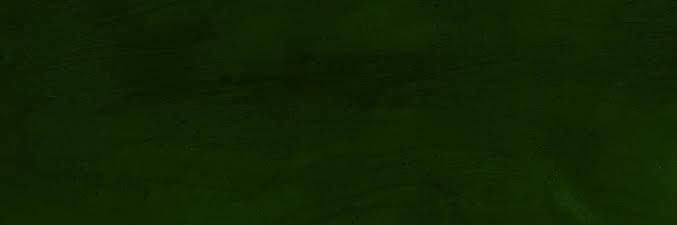 whoandyx's profile banner image