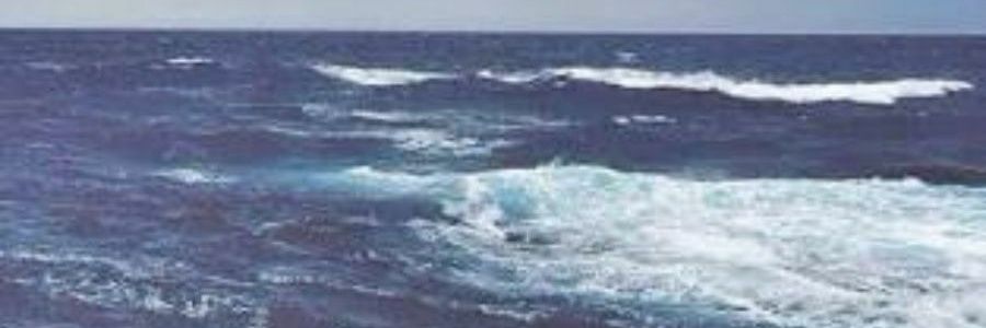 LeylaTevetoglu's profile banner image