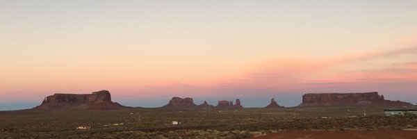 algosuna Profile Banner