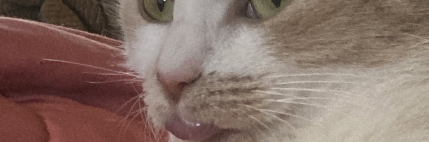 ktebinger's profile banner image