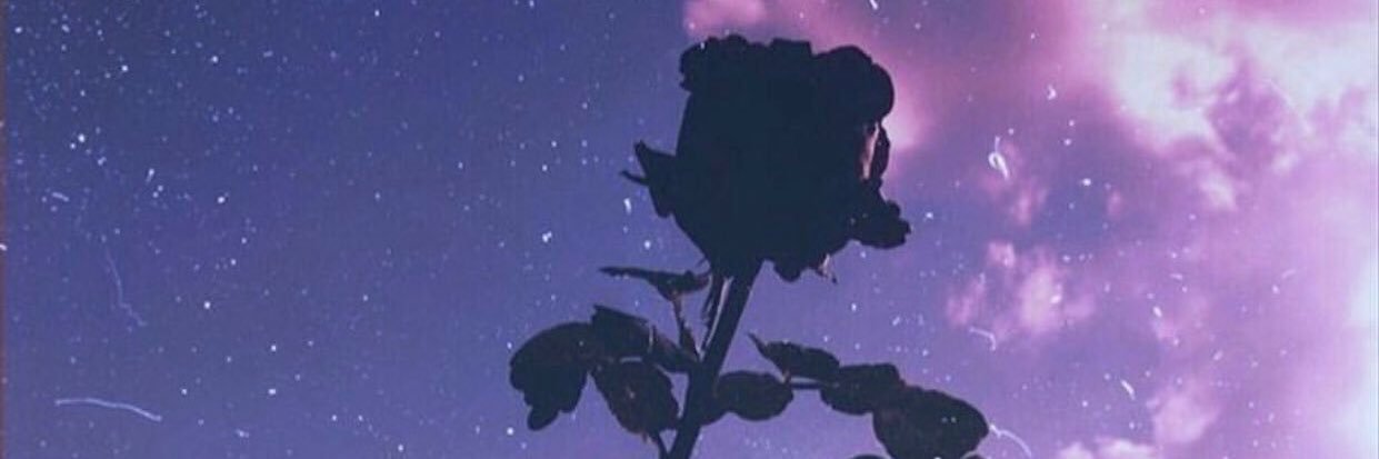 Relugka's profile banner image