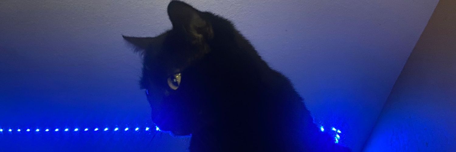 Horrorwitchen's profile banner image