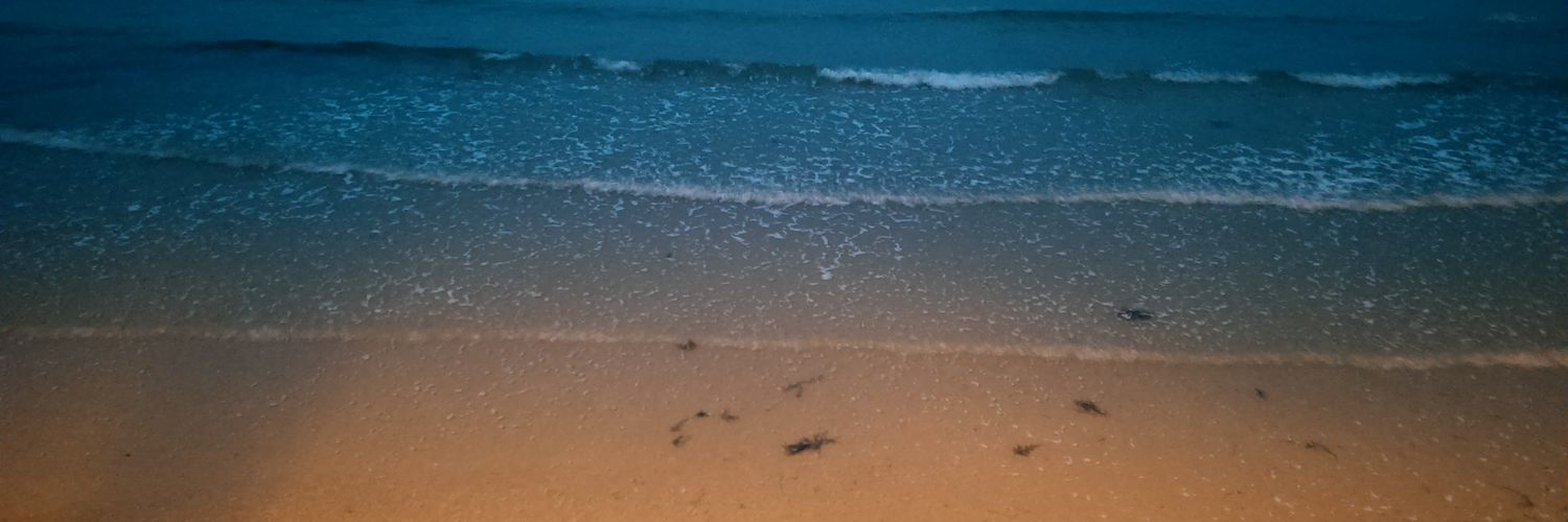 HelsKRW's profile banner image