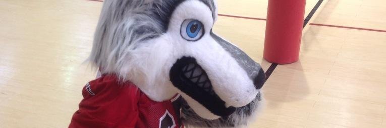 SurpriseStorm's profile banner image