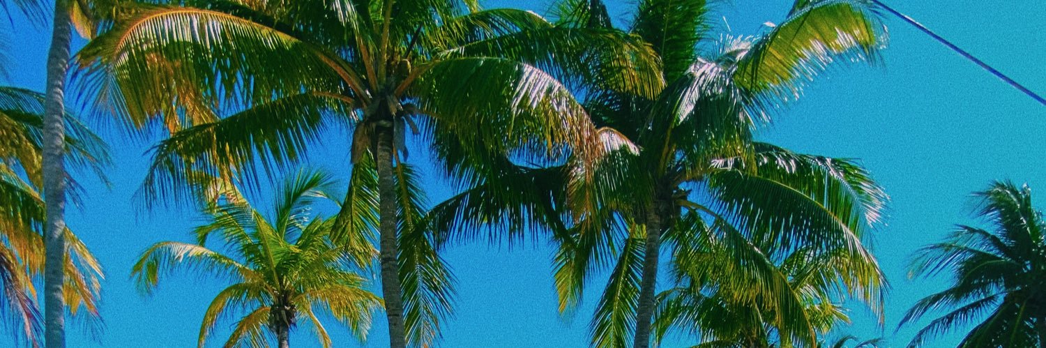 Anabellam__'s profile banner image