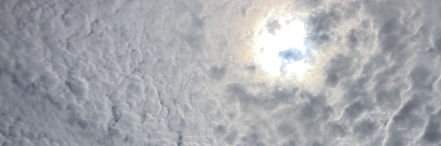 Aster 🌺⛰️ banner