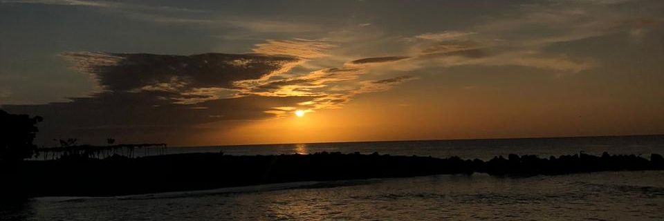 msaavedra_19's profile banner image