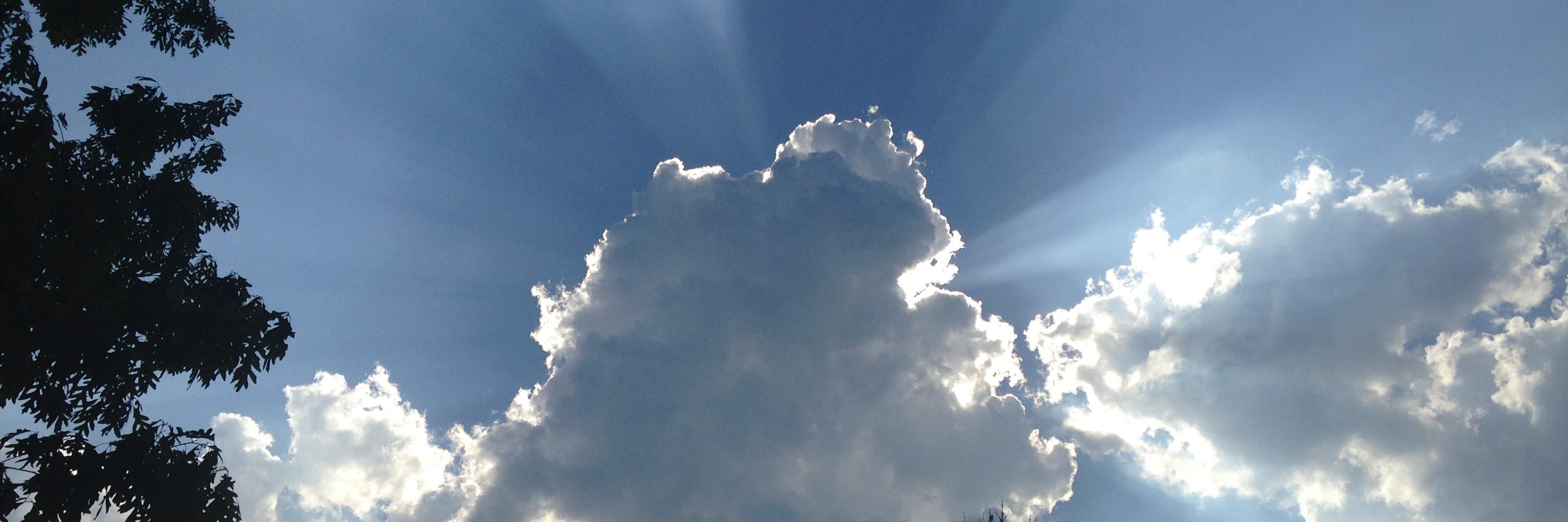 tvogelsinger's profile banner image
