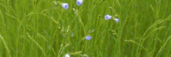 unionagricole76 Profile Banner