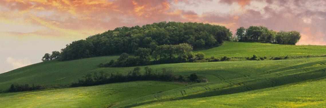 Gusta Veneto banner