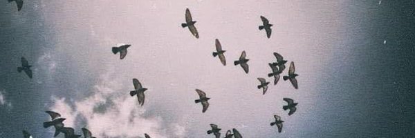 lucxsramxs Profile Banner
