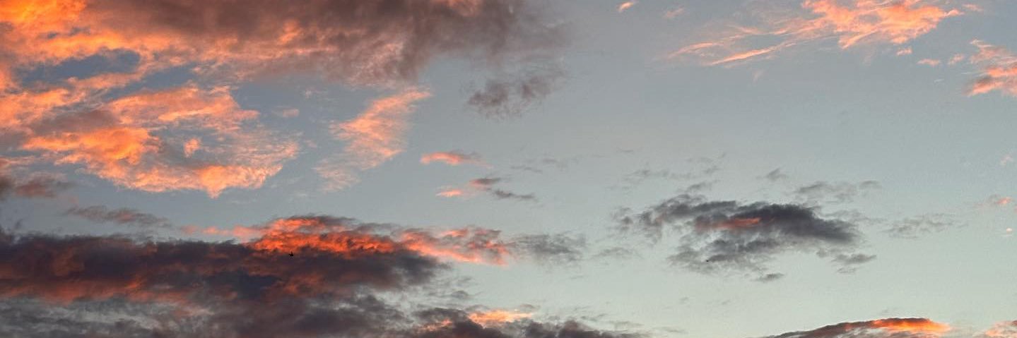 ellysaimran's profile banner image