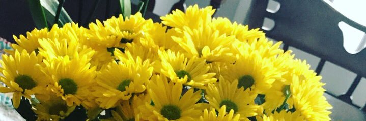 haleytexas's profile banner image