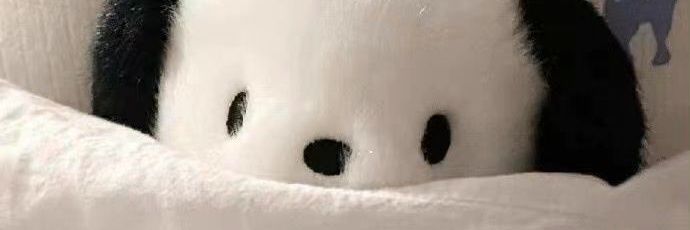 pochacey ʚɞ banner