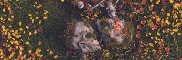 sonofnics Profile Banner