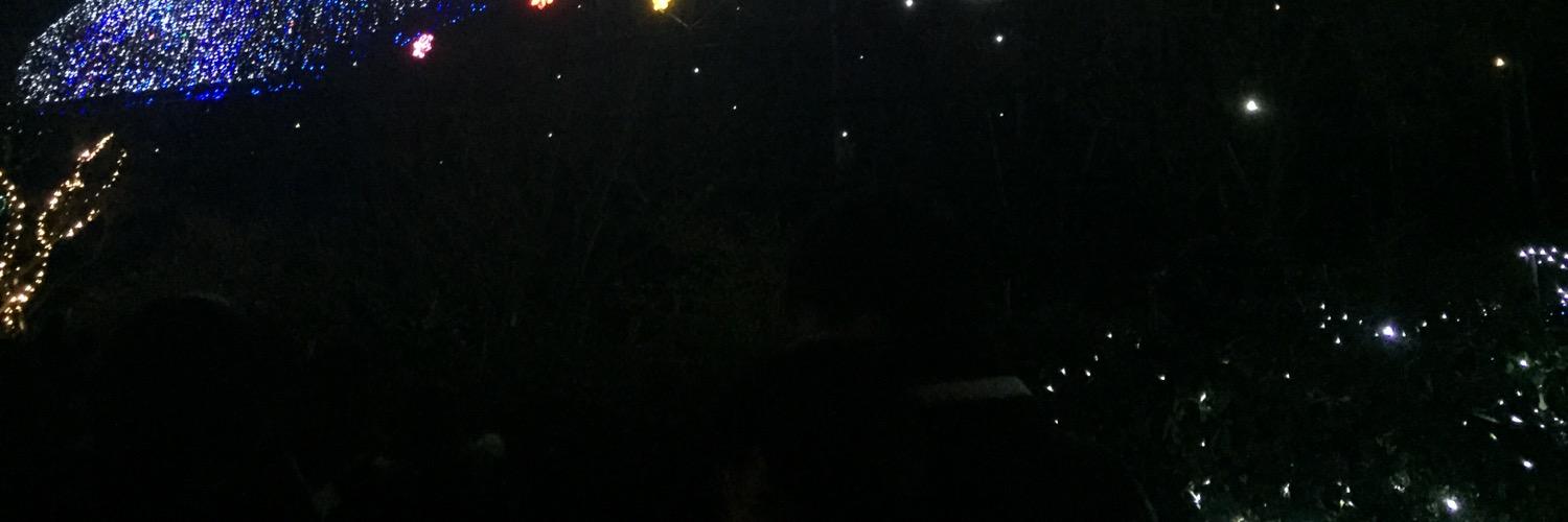 anireito's profile banner image