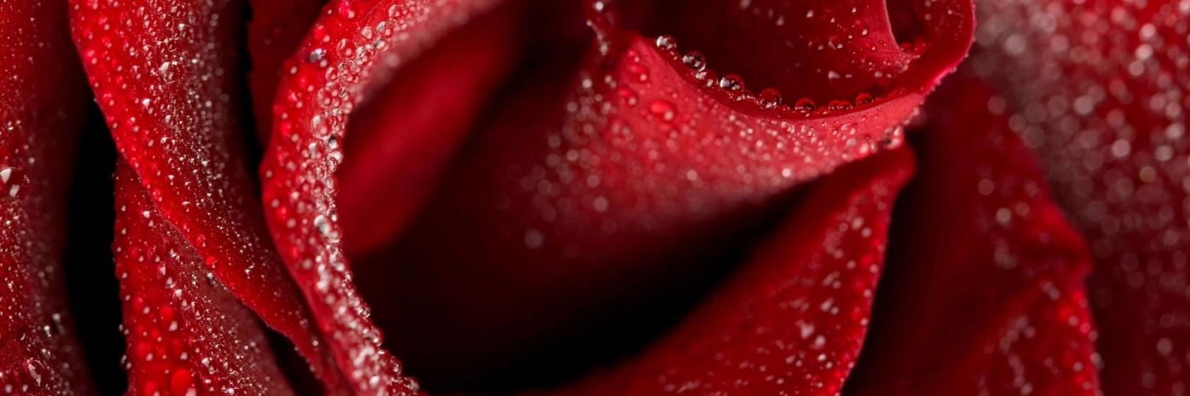 willenefnh74's profile banner image
