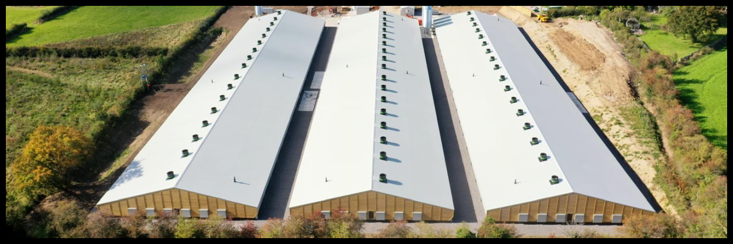 Powell & Co Construction Ltd banner