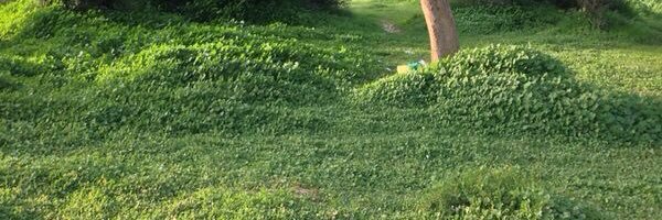 alkhaldiabu's profile banner image