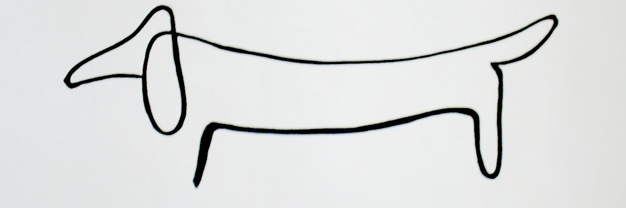 Carolina Corbalan banner
