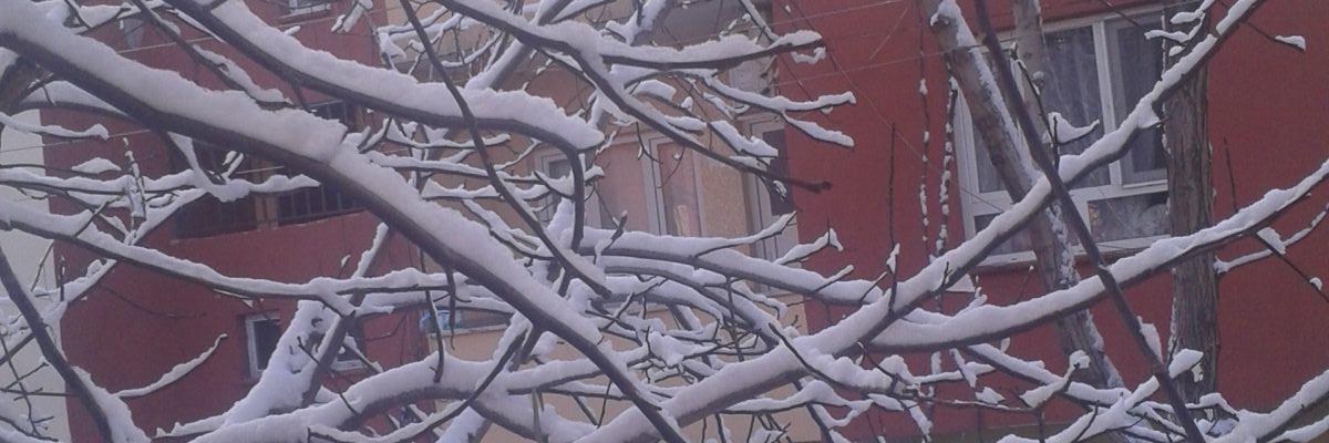 edanur7247's profile banner image