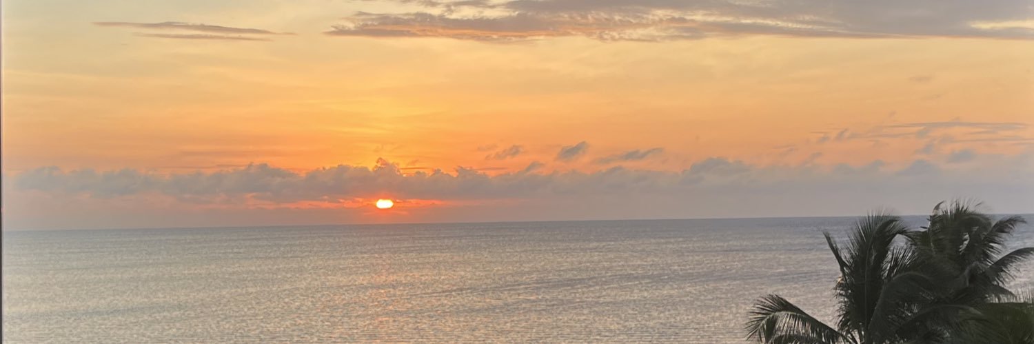 lovergirleee's profile banner image