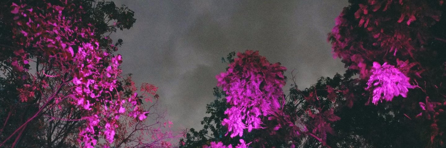 TheRealAlvelon's profile banner image