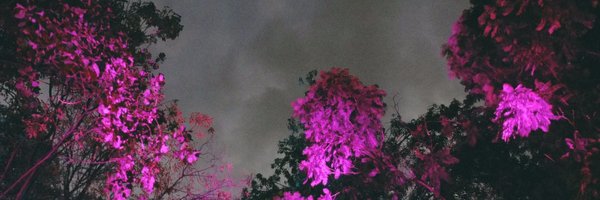 TheRealAlvelon Profile Banner