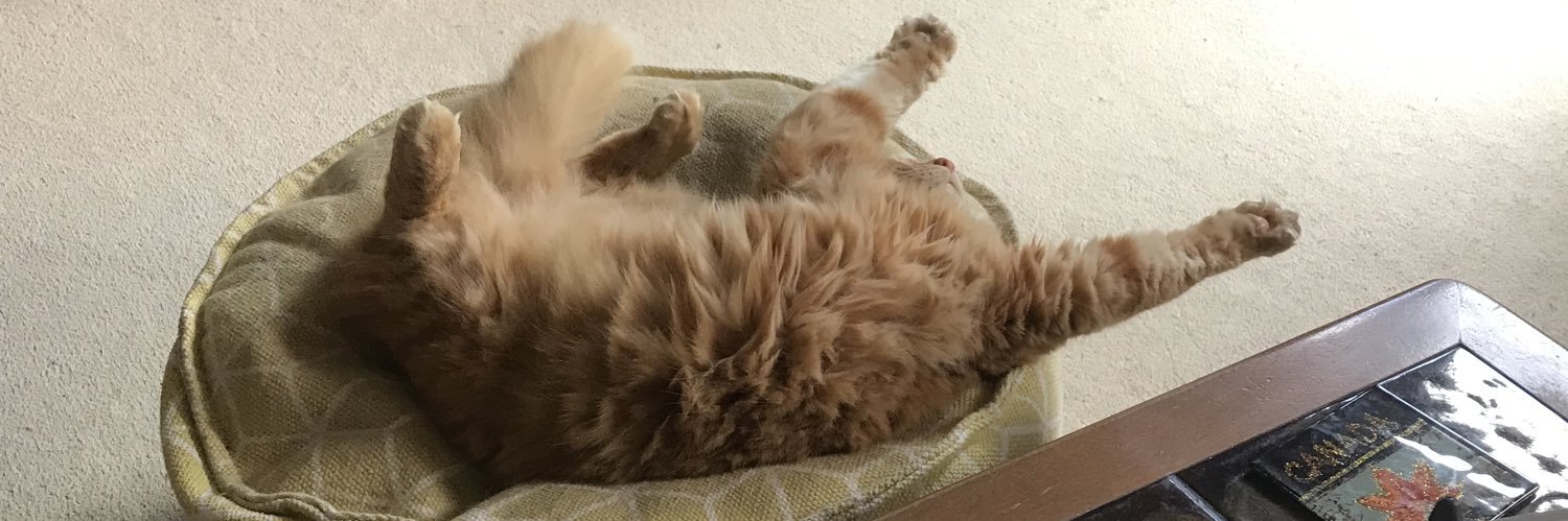 Conductor Chris banner