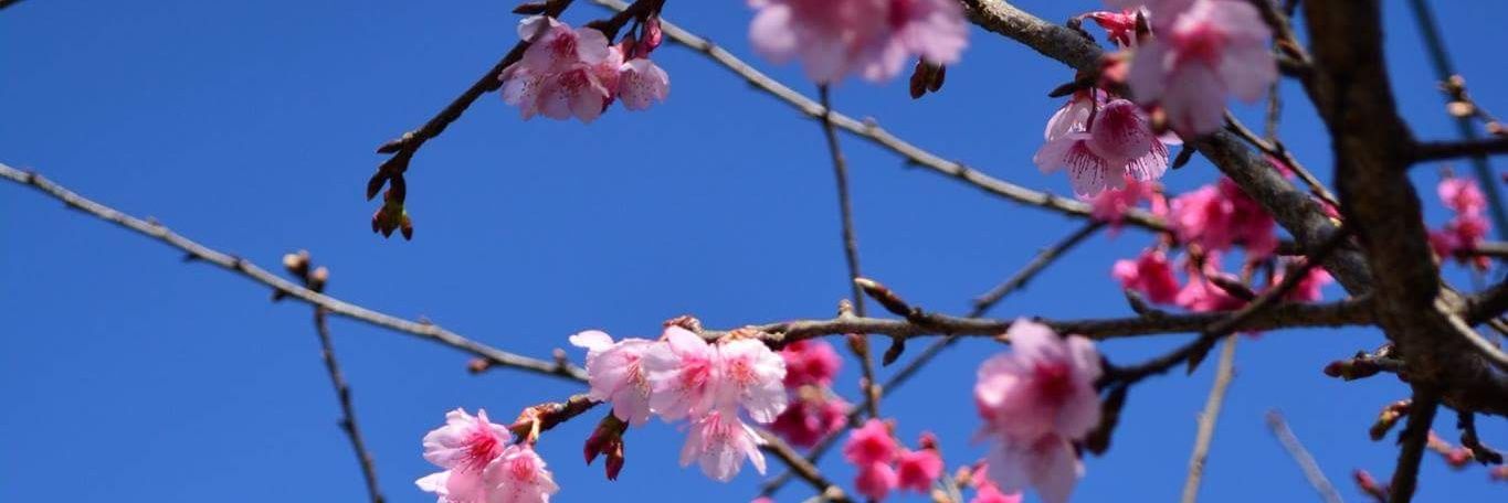 八人入 banner