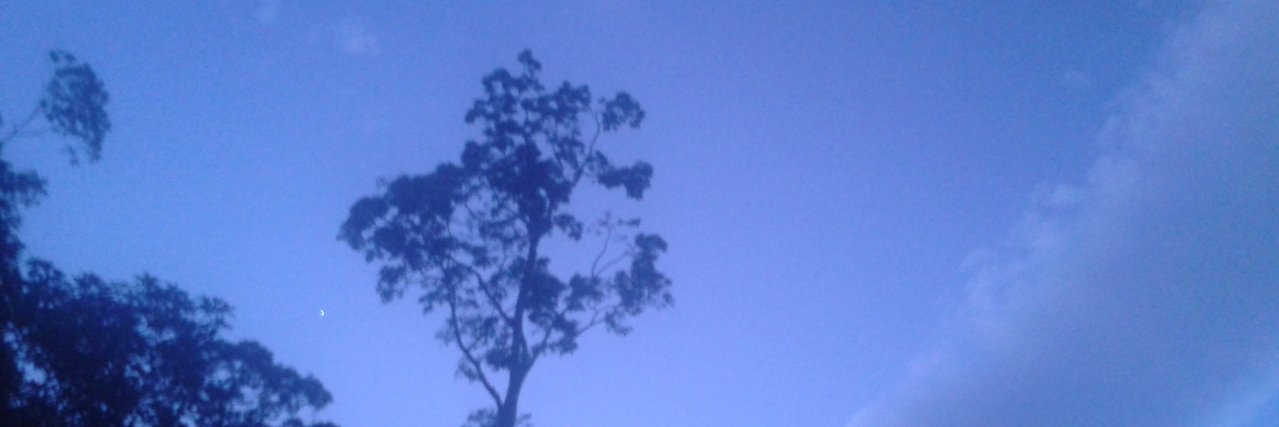 ALEX banner